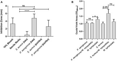 Co-infection of Malassezia sympodialis With Bacterial Pathobionts Pseudomonas aeruginosa or Staphylococcus aureus Leads to Distinct Sinonasal Inflammatory Responses in a Murine Acute Sinusitis Model